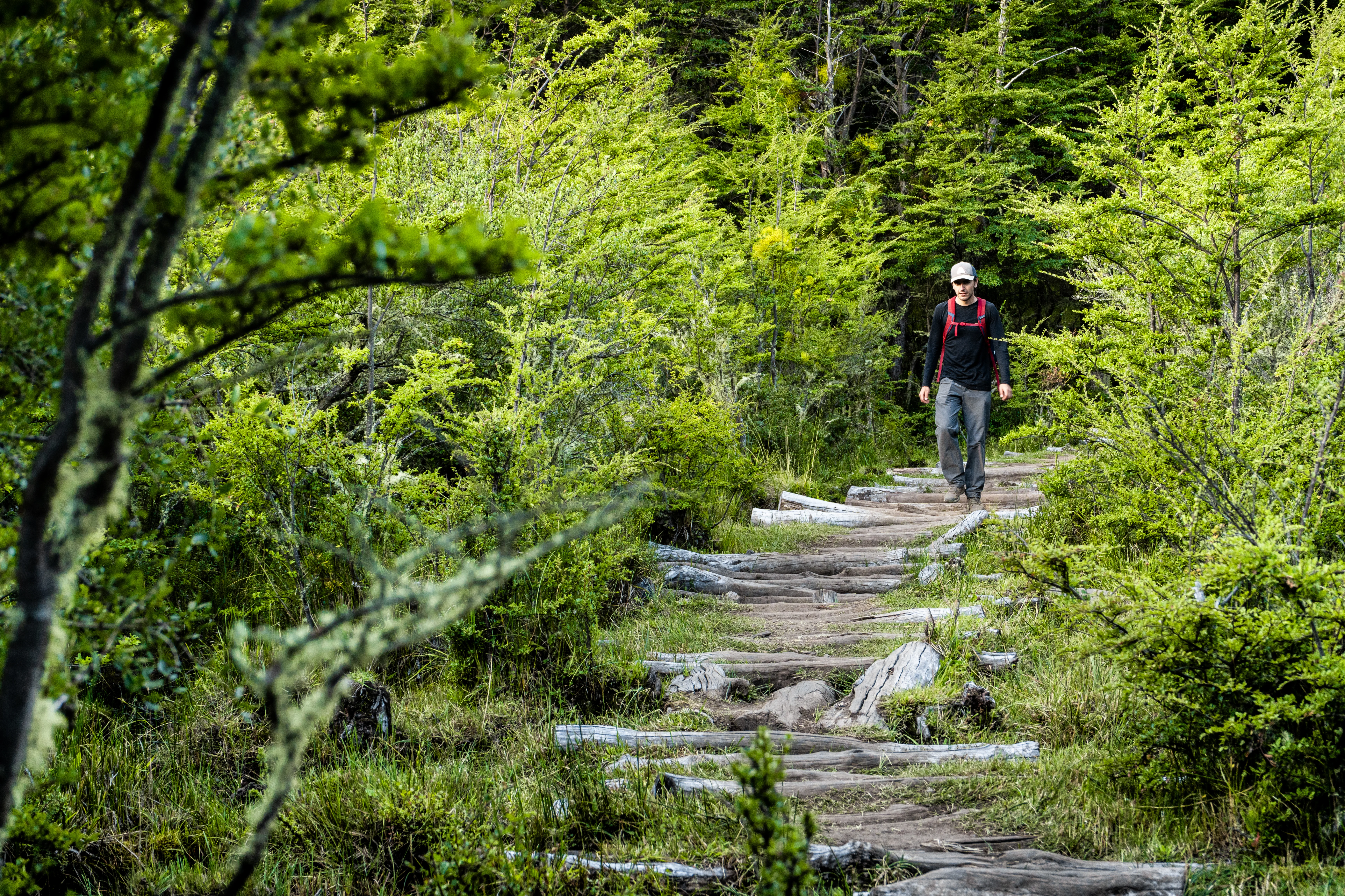 Trekking